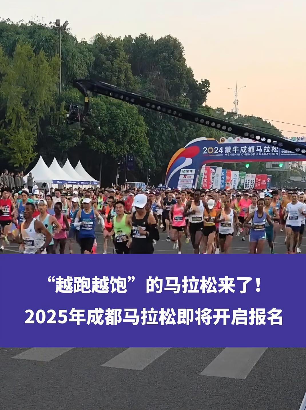详细阅读:成都马拉松直播(成都马拉松2025年报名官网入口) 成都马拉松直播(成都马拉松2025年报名官网入口)